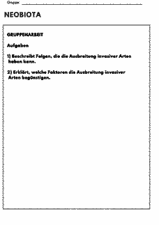 Vorschau Seite 2