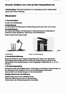 Vorschau Seite 1