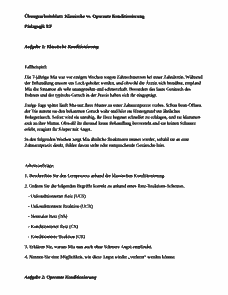 Vorschau Seite 1