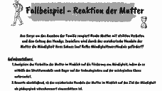 Vorschau Seite 8
