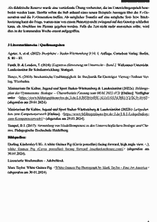 Vorschau Seite 4