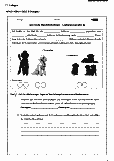 Vorschau Seite 6