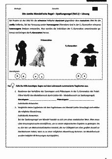 Vorschau Seite 9