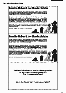 Vorschau Seite 11