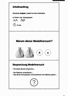 Vorschau Seite 12