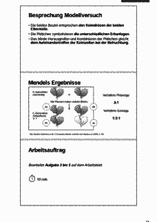 Vorschau Seite 13