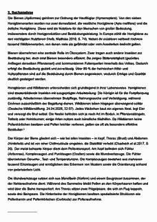 Vorschau Seite 7