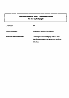 Vorschau Seite 1
