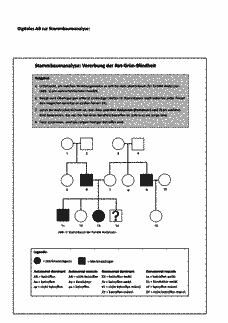 Vorschau Seite 9