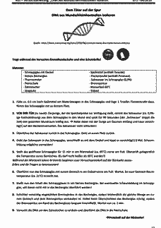 Vorschau Seite 13