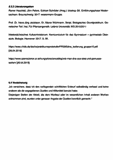 Vorschau Seite 16