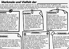 Vorschau Seite 3