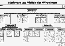 Vorschau Seite 5