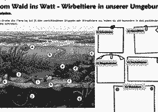 Vorschau Seite 6