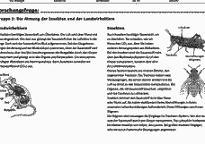 Vorschau Seite 8