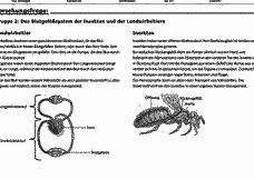 Vorschau Seite 10