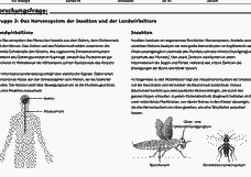 Vorschau Seite 12