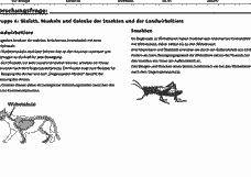Vorschau Seite 14