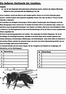 Vorschau Seite 3