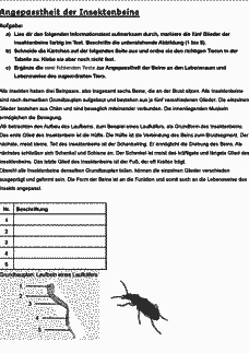 Vorschau Seite 2