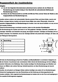 Vorschau Seite 3