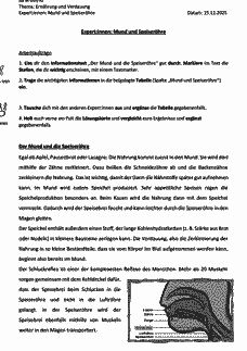 Vorschau Seite 6