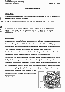 Vorschau Seite 8