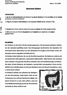 Vorschau Seite 9