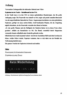 Vorschau Seite 13