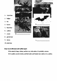 Vorschau Seite 4