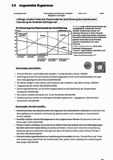Vorschau Seite 6