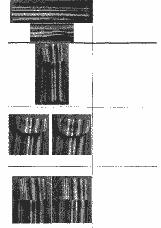 Vorschau Seite 13