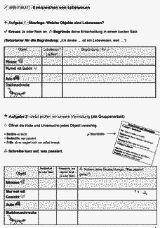 Vorschau Seite 15