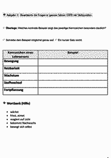 Vorschau Seite 16