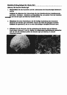 Vorschau Seite 1
