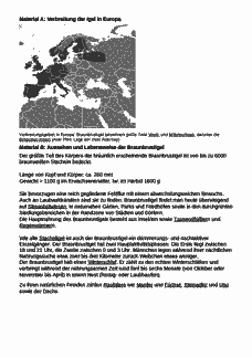 Vorschau Seite 2