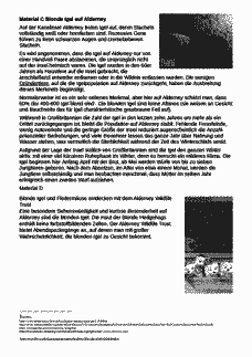 Vorschau Seite 3