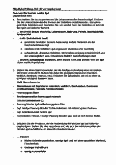 Vorschau Seite 4