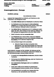 Vorschau Seite 1