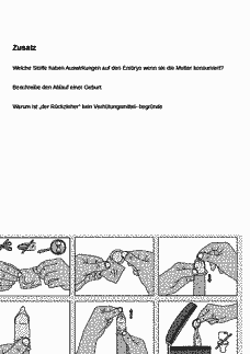 Vorschau Seite 6