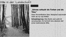 Vorschau Seite 8