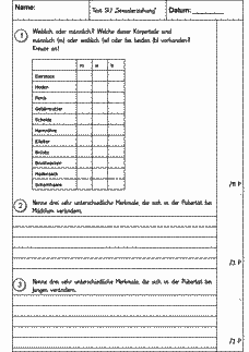 Vorschau Seite 1