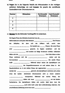 Vorschau Seite 2