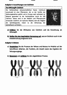 Vorschau Seite 3
