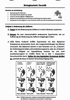 Vorschau Seite 1
