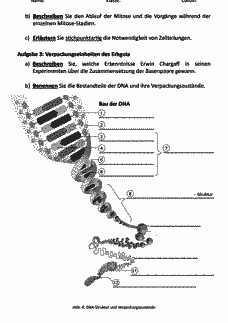 Vorschau Seite 3