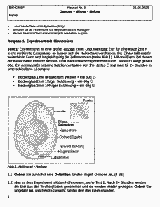 Vorschau Seite 1