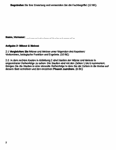 Vorschau Seite 2