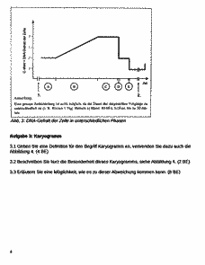 Vorschau Seite 4