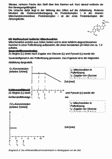 Vorschau Seite 3